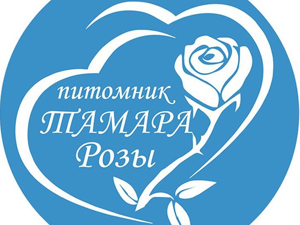 Тамара Розы Интернет Магазин Каталог 2022